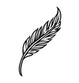 vintage tattoo concept elegant feather vector image