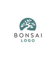 japan japanese oriental bonsai tree plant art logo vector image vector image