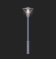 isolated night lantern with glowing lamp vector image vector image