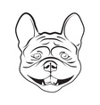 bulldog vector image