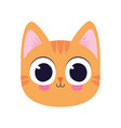 cute kitty in a white background vector image vector image