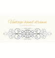 hand drawn flourishes text divider graphic vector image