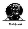 peeking dog - field spaniel breed head isolated vector image