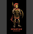 spartan warrior in armor on a dark background vector image vector image