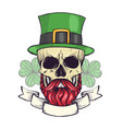 color handdrawn skull of leprechaun vector image vector image