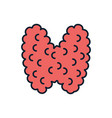 thyroid line icons vector image vector image