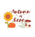 autumn here concept vector image
