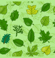 leaf green leaves of trees leafed oak vector image vector image