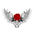 angel red rose vector image