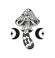 magic mushrooms sacred geometry vector image vector image