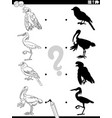 shadow game with cartoon birds coloring book page vector image