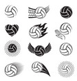 volleyball balls set vector image