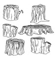 stump handdrawn set vector image