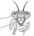 portrait of green praying mantis vector image vector image