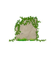 cartoon forest ivy leaves on rock and stone panel vector image vector image