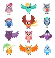 cartoon owl vector image