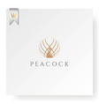 elegant luxury golden peacock peafowl logo design vector image vector image