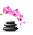 stack of spa stones with orchid pink flowers vector image