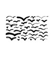 abstract black birds clip arts collection vector image