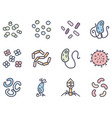 bacteria and viruses color doodle simple vector image