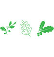oak leaf icon isolated on white background vector image