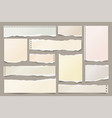 white ripped paper strips collection realistic vector image