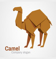 camel logo origami vector image