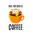 cute cartoon owl bathes in a cup of coffee vector image