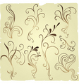 floral elements vector image vector image