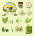 bio farm organic eco healthy food templates vector image