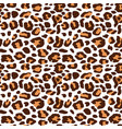 leopard print seamless fashionable vector image