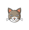 head image of cat bright cartoon isolated vector image