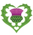 scottish heart and thistle vector image vector image