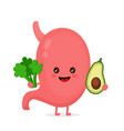 strong healthy happy stomach character vector image vector image