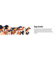 banner template for conformation dog show vector image