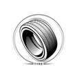tire on white background vector image