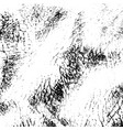 leather overlay texture vector image vector image