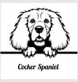 cocker spaniel - peeking dogs breed face head vector image