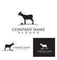 goat logo template icon vector image vector image