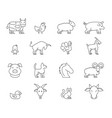 farm cattle domestic animal livestock or poultry vector image