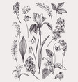 set with spring flowers vector image vector image