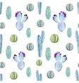 cactus seamless patterns vector image