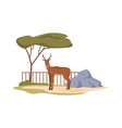 cartoon deer stag in zoo african nature reserve vector image