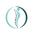 creative chiropractic vector image vector image
