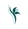 creative chiropractic vector image vector image