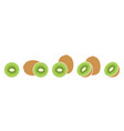 kiwi vector image vector image