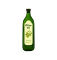 olive oil bottle with brand label isolated flat vector image vector image