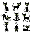cats icon set vector image