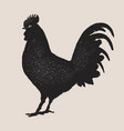 vintage rooster stamp retro chicken typography vector image vector image