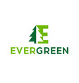 eco logo evergreen template vector image